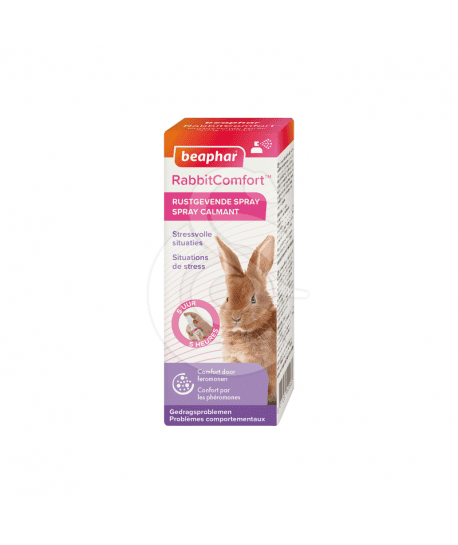 RabbitComfort