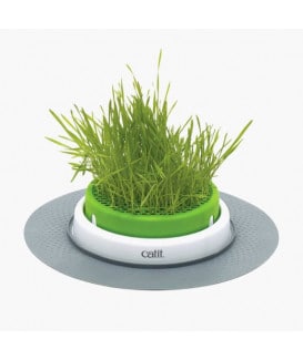Jardin d'herbe à chat Catit Senses 2.0