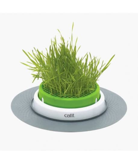Jardin d'herbe à chat Catit Senses 2.0