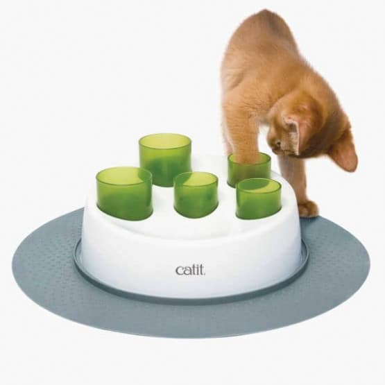 Jouet Chat Distributeur Tubes A Croquettes Catit Senses Placedesvetos Com