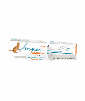 Pro Kolin Advanced Chat