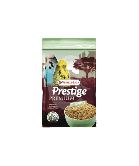 Premium Perruches