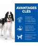 Chien Adult Poulet Boîte
