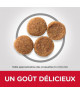 Chien Adult Medium Poulet