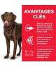 Canine Adult Healthy Mobility Large Breed Poulet