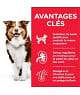 Chien Mature Adult 7+ Medium Poulet