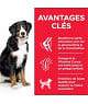 Chien Adult Large Breed Poulet
