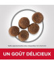 Chien Puppy Medium Poulet