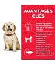 Canine Puppy Large Breed Poulet