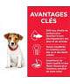 Chien Puppy Small&Mini Poulet