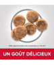 Chien Adult Small & Mini Poulet