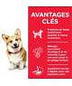 Chien Adult Small & Mini Poulet