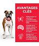 Canine Adult Light Medium Poulet