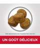 Canine Adult Light Medium Poulet