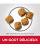 Canine Adult Medium Agneau & Riz