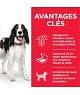 Canine Adult Medium Agneau & Riz