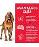 Chien Mature Adult 7+ Light Medium Poulet