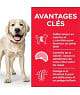 Canine Adult Light Large Breed Poulet