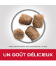 Chien Adult Healthy Mobility Medium Poulet