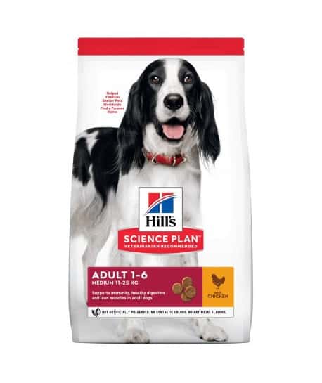 Chien Adult Medium Poulet