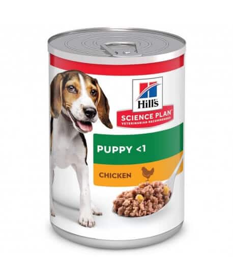 Chien Puppy Poulet Boîte
