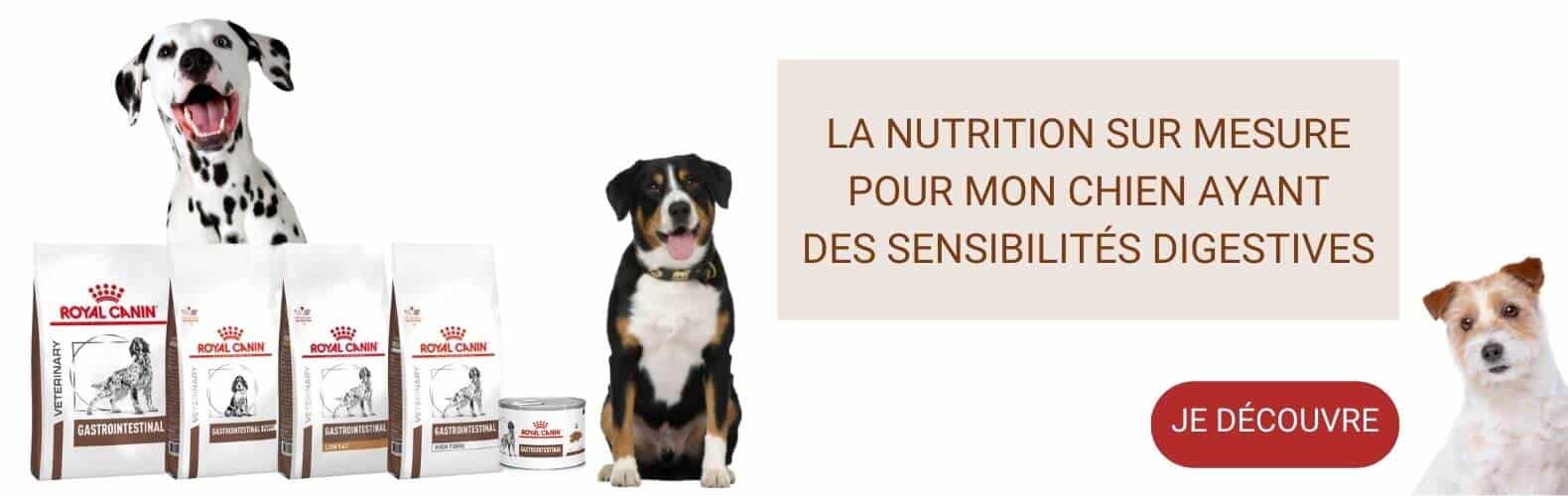royalcanin_alimentation.jpg