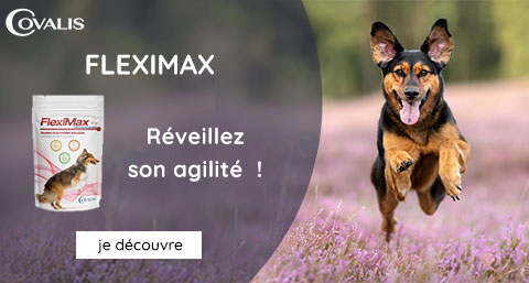 Nourriture et produit d'hygiène pour chien sur VetoAvenue