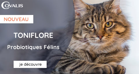 https://www.placedesvetos.fr/p/9152-toniflore-chat