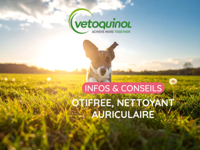 Otifree : test du nettoyant oreille chien et chat Vetoquinol