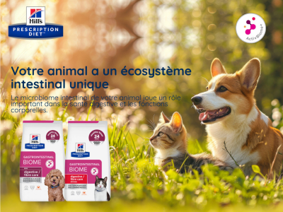 Troubles digestifs chez le chien et le chat