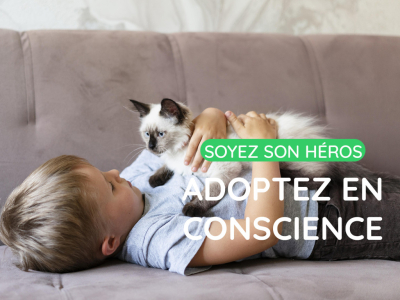 Soyez son héros : adoptez en conscience
