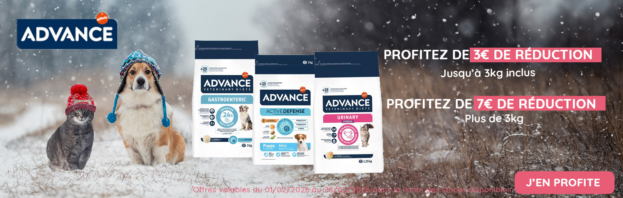 advance fev2026