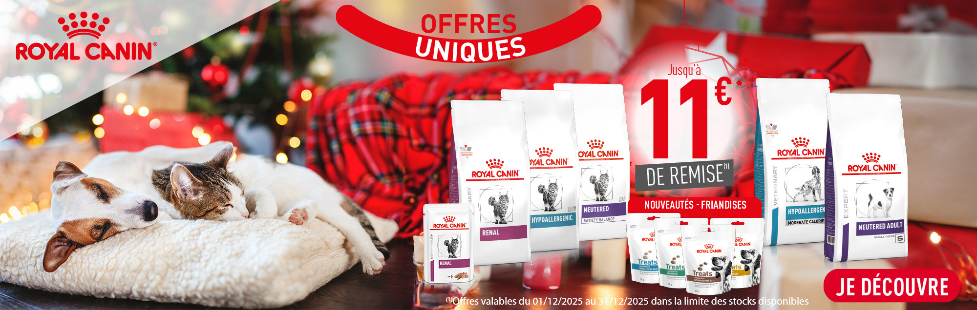 place des vétos - décembre 25 -  RC