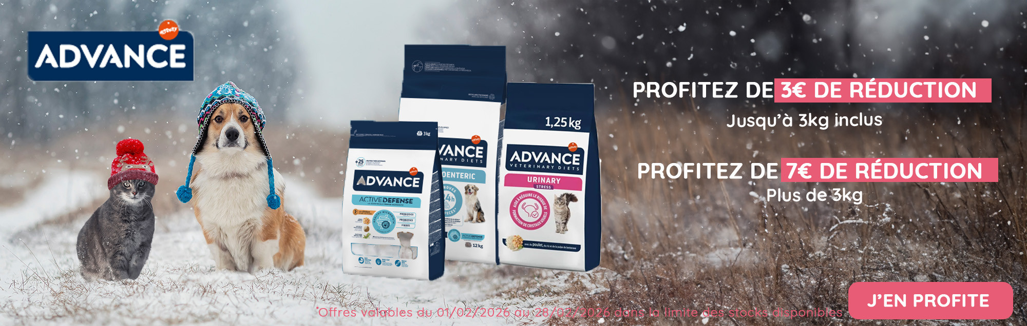 ADVANCE fevrier 2026