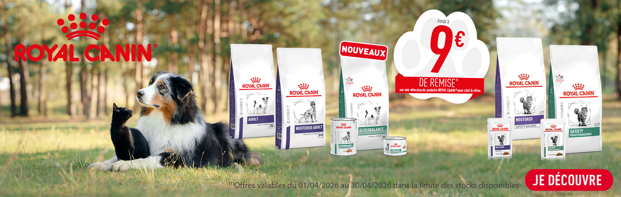 RC AVRIL 2026 desktop