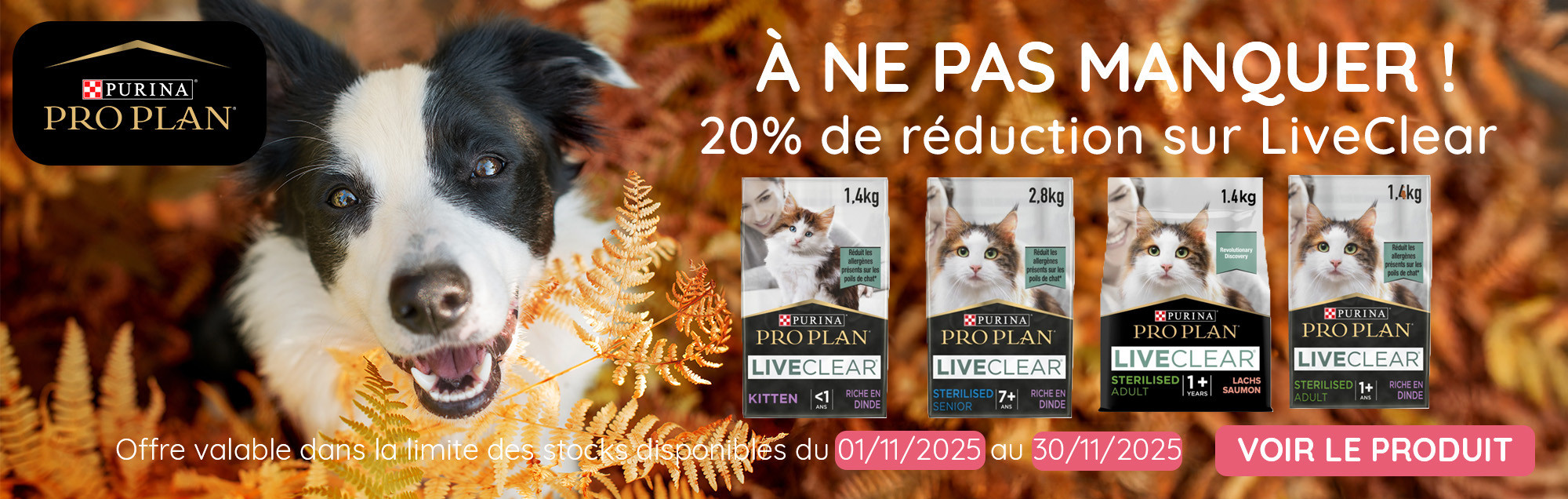 Banniere novembre 2025  Pro Plan desktop 