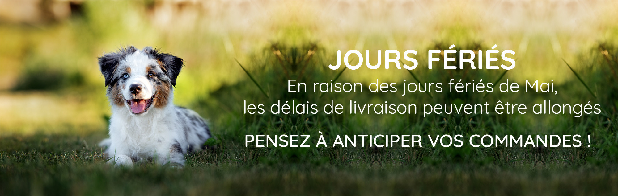 banniere pont de mai 26