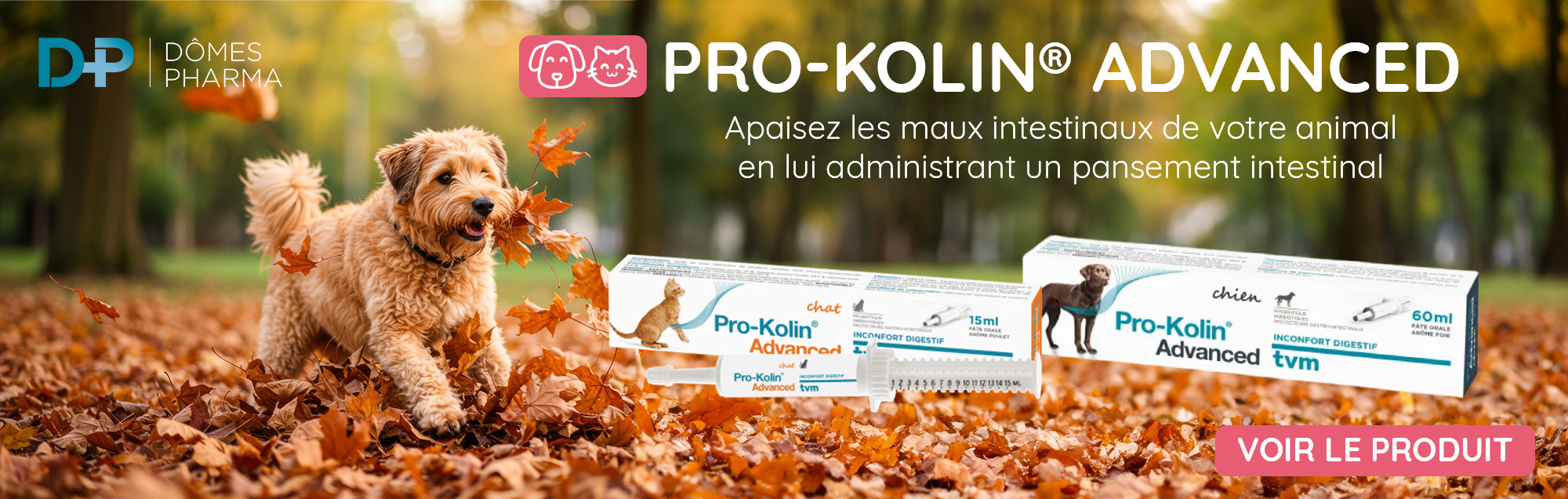 Bannière Dômes Pharma - Pro-Kolin - Novembre 2025