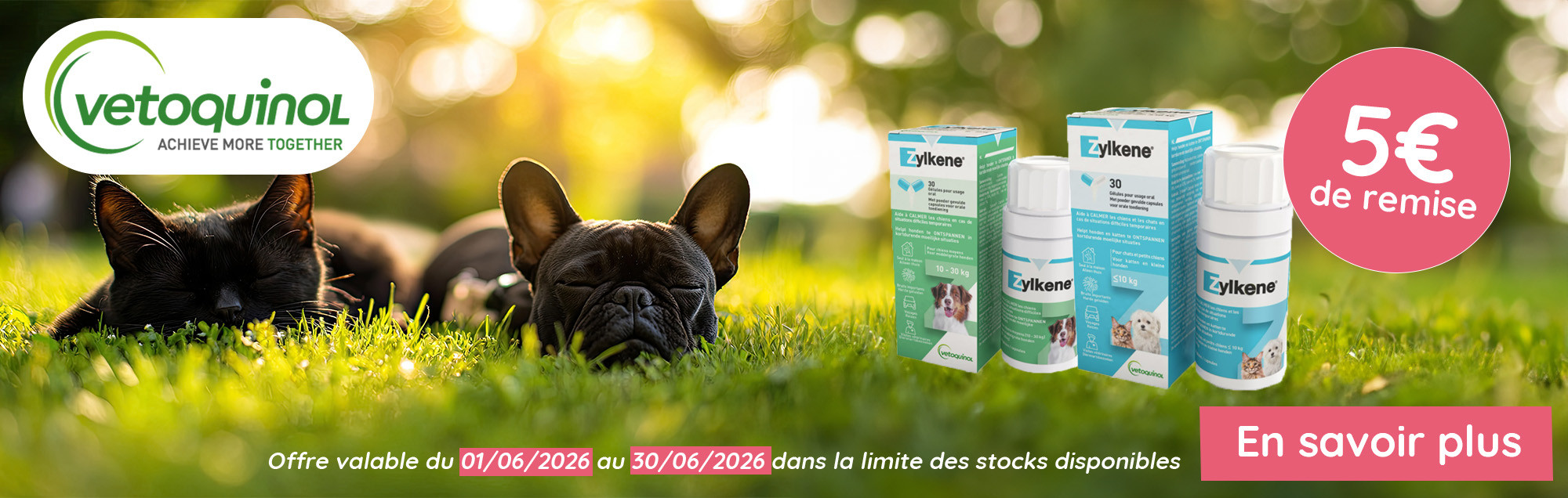 vetoquinol desk juin26